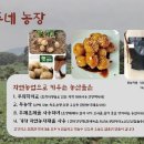 정주네농장 이미지