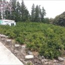 남원읍-9 이미지