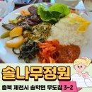솔나무 | 제천 송학면 맛집 솔나무정원 한식뷔페 9,000원