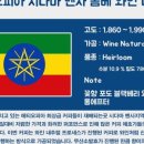 릴라이어블 이미지