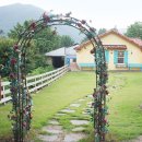 화원목장 이미지