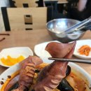 콩짬뽕 티스토리