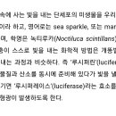 만리포몰디브 이미지