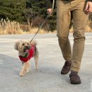 용산-현장-370 이미지