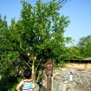 운기네 민박 이미지