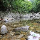 깊이울마을캠핑장 이미지