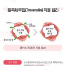 학동 참조은약국 이미지