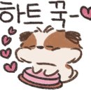 아츄코리아