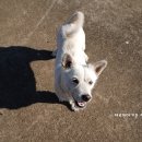 거봉수산