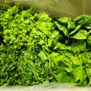 본욱농장 이미지