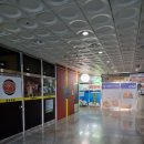 와니펫싸롱 이미지