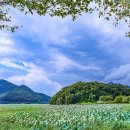 호수풍경 이미지