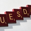 망월초등학교 이미지