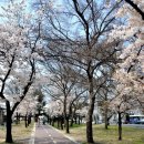 경대교 주변 이미지