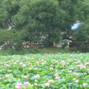 왕버들2농장 이미지