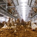 연암농장 이미지