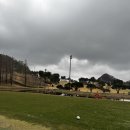 삼성물산(주)안성베네스트GC | 안성베네스트GC 2인 조인 후기｜봄 라운딩 컨디션,분위기 정리