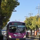 고운풍경민박 | 순천 여행(2박3일 게으른 뚜벅이)