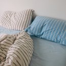 탈로 제주 이미지