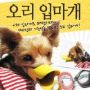 펫토 이미지