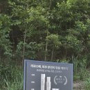 철인스카이간판현수막LED