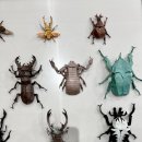 종이접기 | 기미로와 종이접기 전시회 페스티벌 후기ㅣ전시 작품 소개ㅣ종이접기 전시 2탄