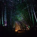 봉자도너츠 | 울산 태화강 십리대숲 국가정원 맛집 &#39;가마솥봉자도너츠 본점&#39; 내돈내산 후기