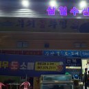 삼일수산활어회