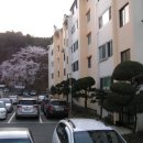 유성구청 5층 이미지