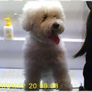 더, 빛나개 이미지