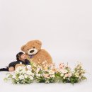 라온사진관 - 양산시 서창서1길 18 | 동탄 아기랑 가족사진 정원 셀프사진관 촬영 후기 (+컨셉, 꿀팁)