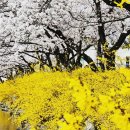 금오산길 이미지