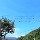 불타는 닭갈비 이미지