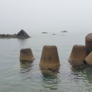 해파랑길 13코스 이미지