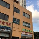 로그아로마라이브러리 | 남의집 여행기 | 시트러스 아로마가 전하는 말 w.로그아로마라이브러리