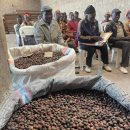 (주)샤인위드컴페니언 이미지