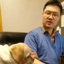 페츠온 동물병원 이미지