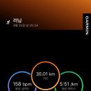 연휴에는 LSD 이미지