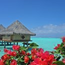 보라보라 이미지