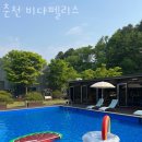 비다펠리스 이미지