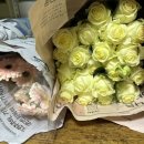 화훼장식기능사 이미지