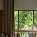 rainbow마트 이미지