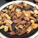세하돈가김해뒷고기 | 부산 모라동 맛집 | 구워주는 뒷고기 맛집 세하돈가김해뒷고기 내돈내산 후기