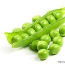 정글짐 서사라점 이미지