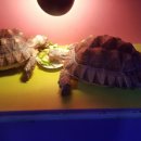 가자낚시 이미지