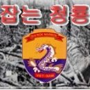 청륭부대 월남참전 기록 ＜1965년10월2일-1966년11월27일＞ 이미지