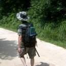 백양산임도(1) 이미지