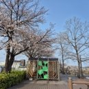 남대천제방길 이미지