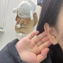 도도핏 | 강남역 피어싱 피어싱도도 :: 링귀걸이 교체 후기