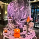 이지갤러리관광호텔 | 호텔 소세이 삿포로 엠갤러리 컬렉션 후기/이그제큐티브 룸/아코르 플래티넘/BARLEY 조식